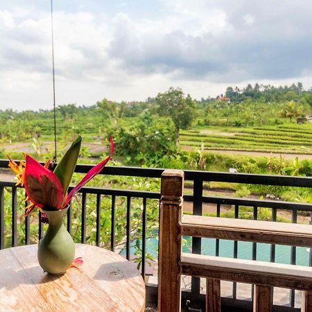 Alamgangga Villas Tirta Gangga 까랑아섬 외부 사진