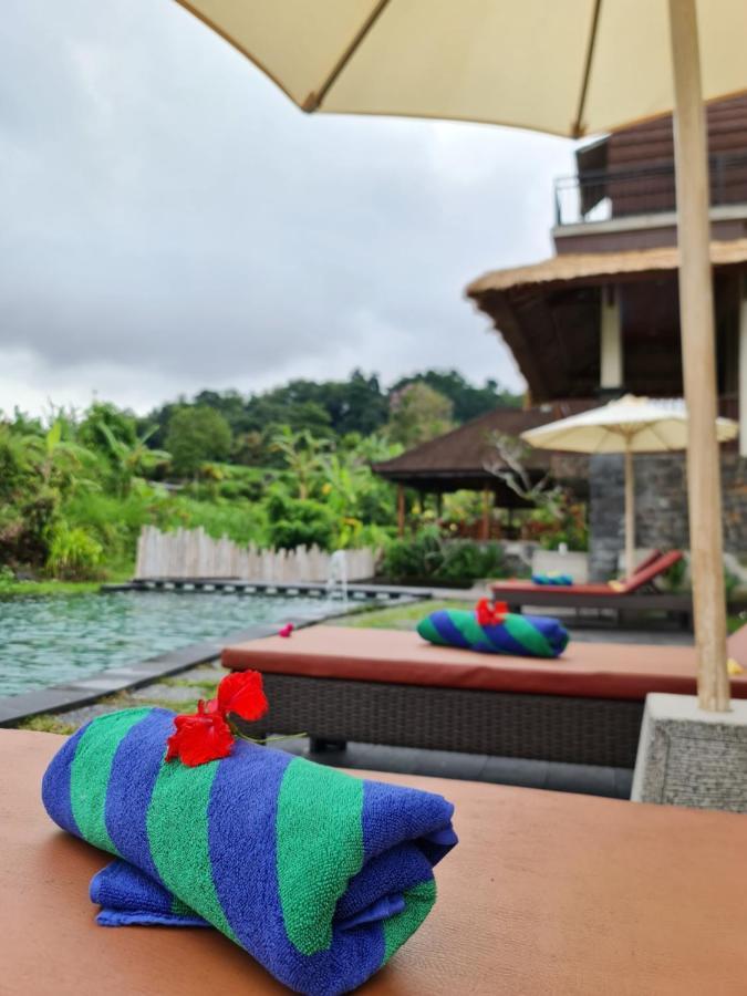 Alamgangga Villas Tirta Gangga 까랑아섬 외부 사진