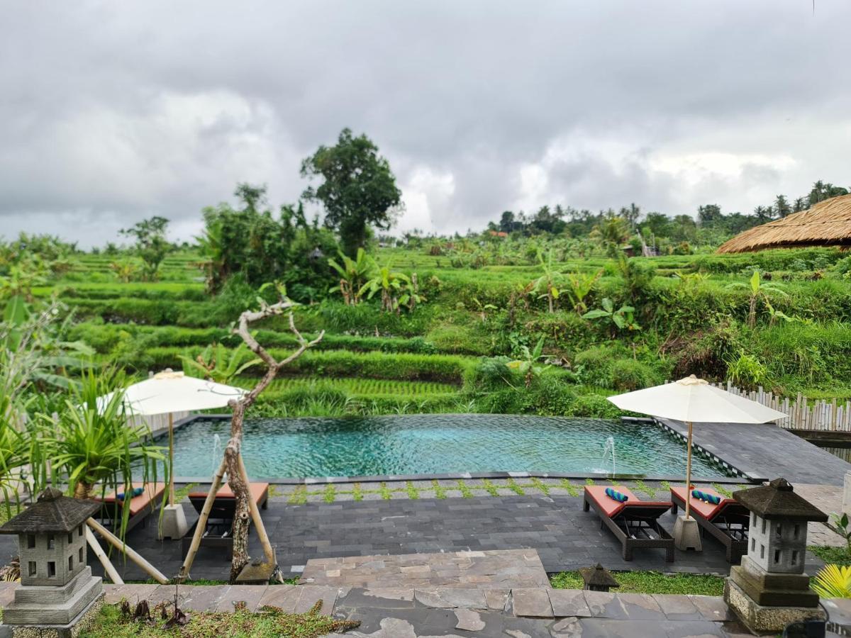 Alamgangga Villas Tirta Gangga 까랑아섬 외부 사진