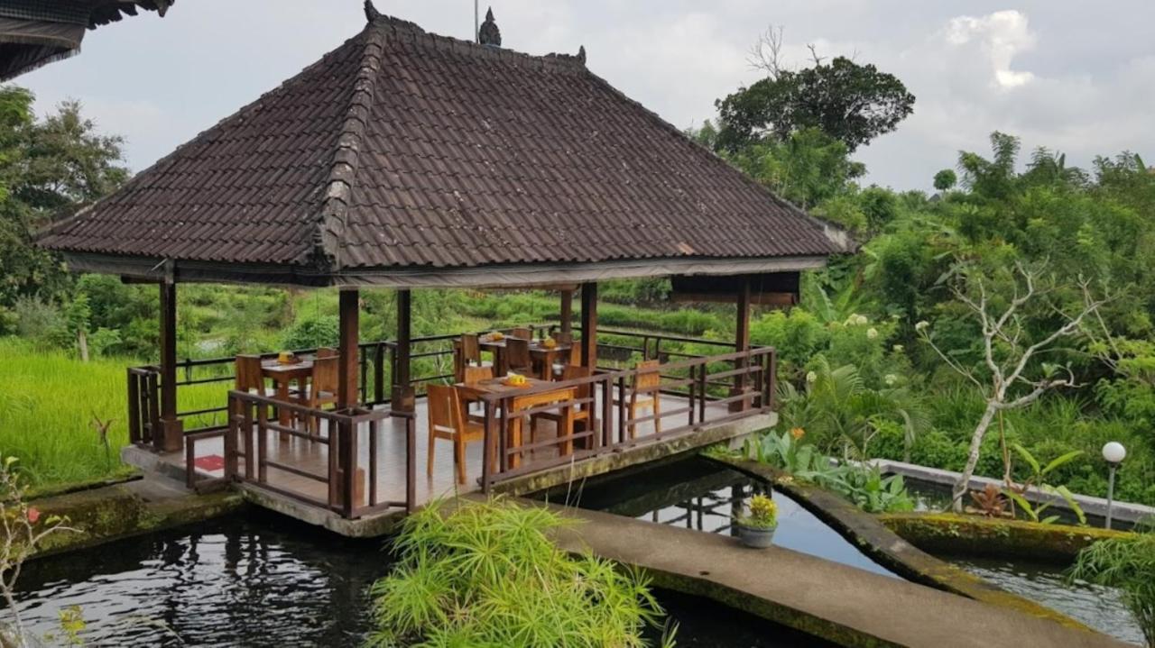 Alamgangga Villas Tirta Gangga 까랑아섬 외부 사진