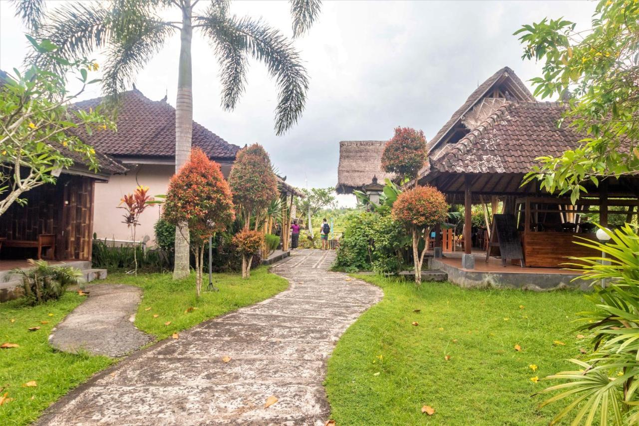 Alamgangga Villas Tirta Gangga 까랑아섬 외부 사진