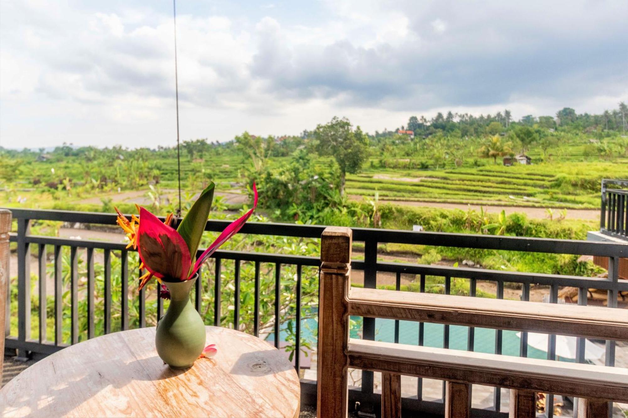 Alamgangga Villas Tirta Gangga 까랑아섬 외부 사진